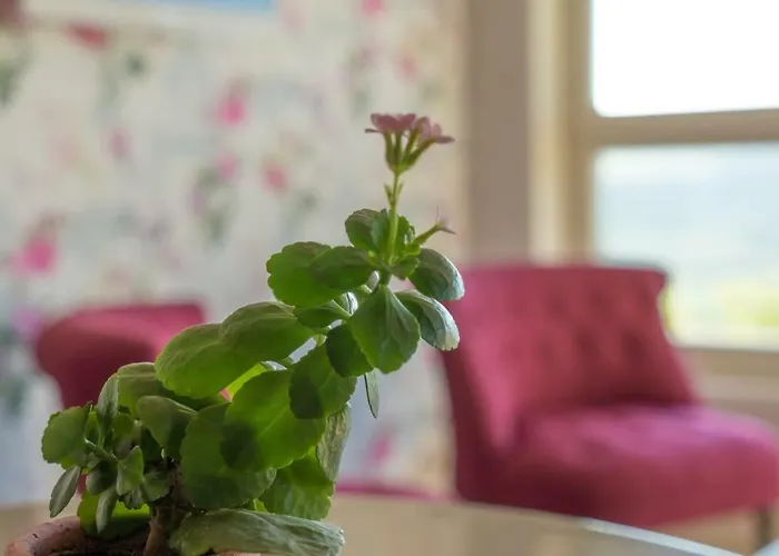 Le Petit Nid*** Feriehus Amance (Meurthe-et-Moselle)